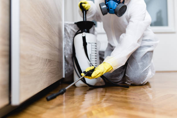 Best Emergency Pest Control  in Carrollton, OH