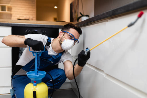 Best Flea Control Services  in Carrollton, OH