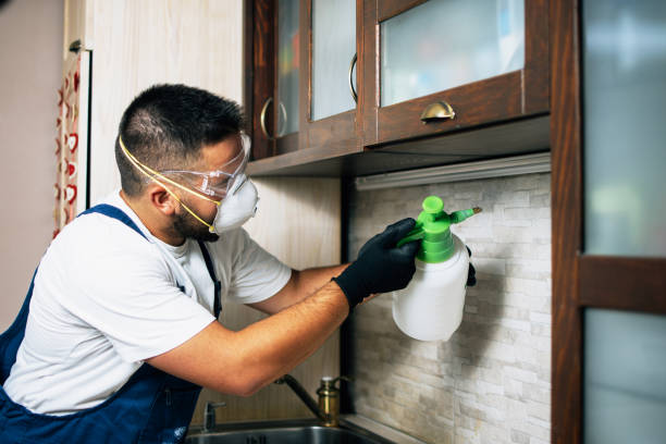Best Bed Bug Extermination  in Carrollton, OH