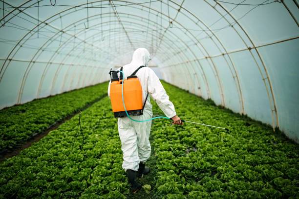 Best Pest Control Near Me  in Carrollton, OH
