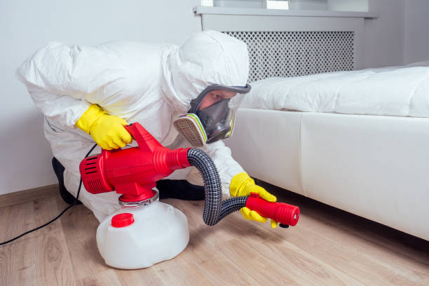 Best Cockroach Control Services  in Carrollton, OH