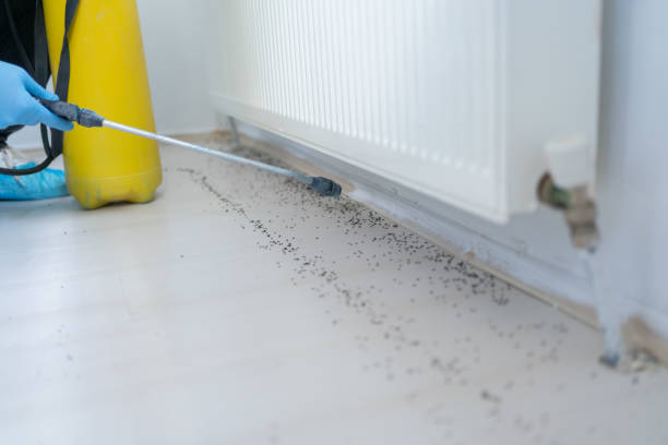 Trusted Carrollton, OH Pest Control Experts