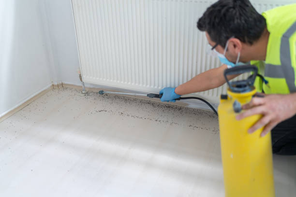 Best Pest Prevention Services  in Carrollton, OH
