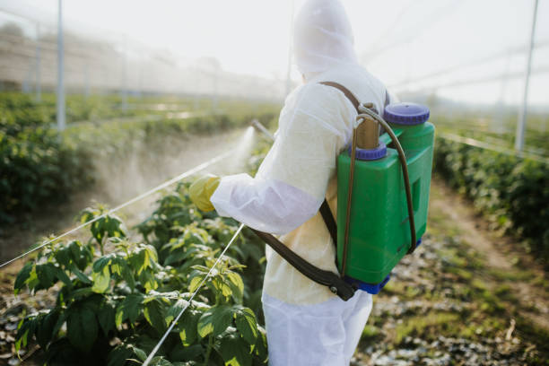 Best Pest Removal Services  in Carrollton, OH